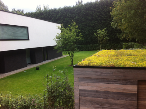 siegbert-van-reeth-groendaken_IMG_1671